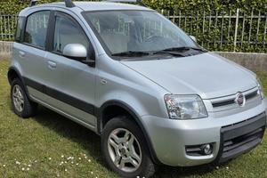Fiat Panda 4x4  usata