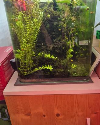 Acquario 30 litri con mobile e filtro esterno