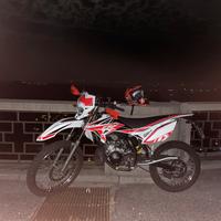 Beta rr50 2021