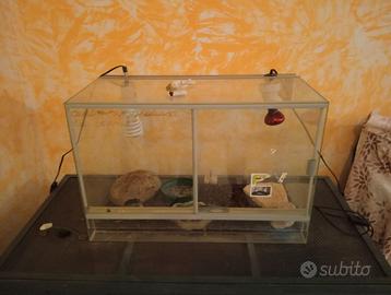 Teca per rettili