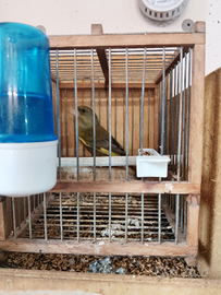 Solo per chi e interessato