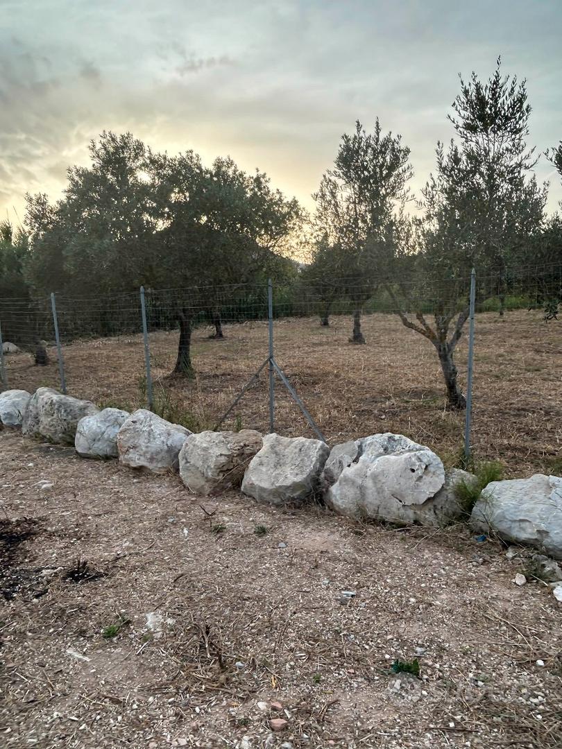 Terreno agricolo - zona crocci - Vista 5
