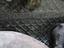 Immagine 9