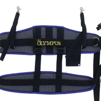 Cintura Traina Kit Renale Olympus Harnes + Jumper