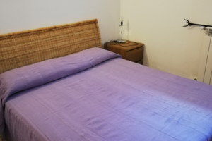 Last minute mare Scarlino