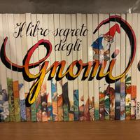 Il libro segreto degli Gnomi – collana completa