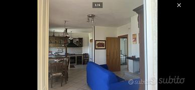 Fuga d'estate a prezzi di saldo