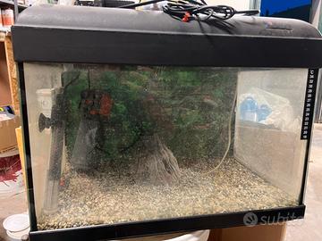 Acquario 35 litri