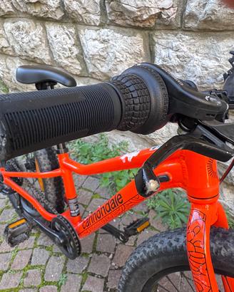 Bicicletta Cannondale kids trail  plus 20