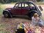 Immagine 5