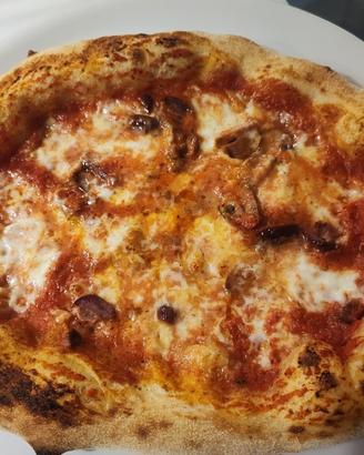 Forno pizza illillo extreme