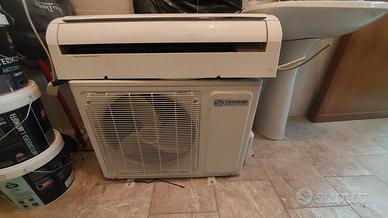 condizionatore inverter 