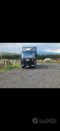 Veicolo Camion