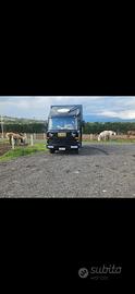 Veicolo Camion