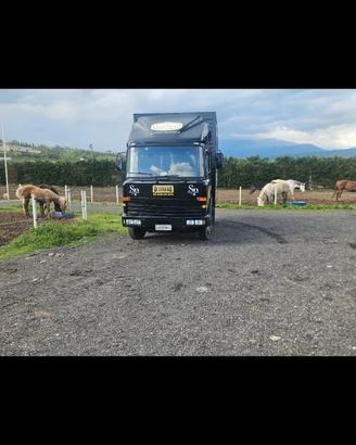 Veicolo Camion