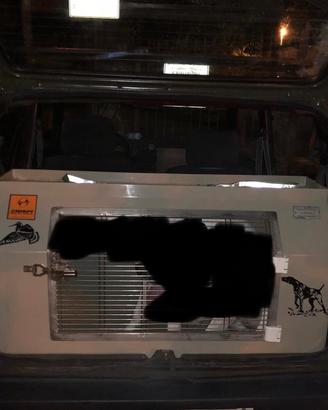 Trasportino su Misura