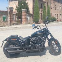 Harley-Davidson Softail Street Bob - 2019