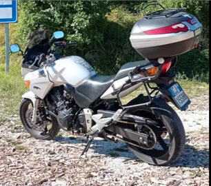 Honda CBF 600 del 2005