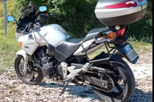 Honda CBF 600 del 2005