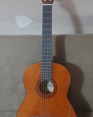 chitarra Ibanez 