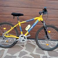 BICI CARNIELLI  Alluminio, Cambio Shimano