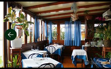 Dehor in legno e vetro