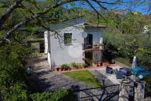 CASA INDIPENDENTE A CALVI DELL'UMBRIA