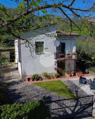 CASA INDIPENDENTE A CALVI DELL'UMBRIA