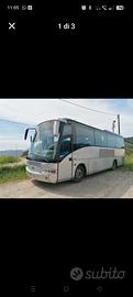 Beulas Man Midi Star