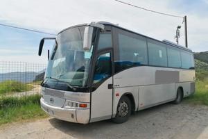 Beulas Man Midi Star