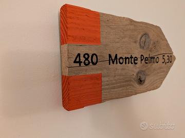 Segnavia sentiero Monte Pelmo in legno vecchio