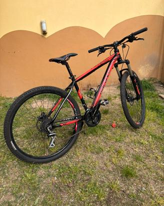 Bicicletta ragazzo Galaxy