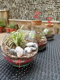[RM] Terrari artigianali in vetro