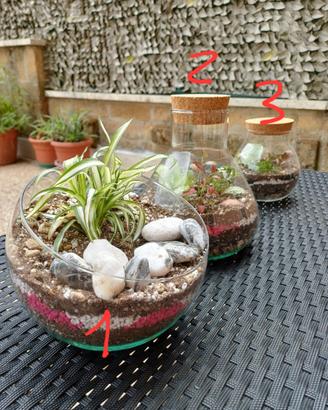 [RM] Terrari artigianali in vetro