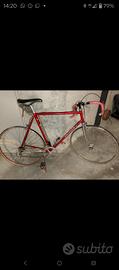 Bici da corsa Colnago 
