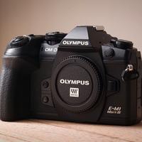 Olympus m1 iii garanzia e scontrino (2519 scatti)