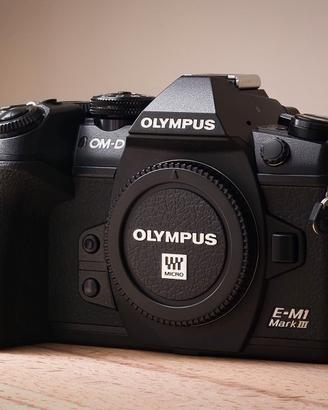 Olympus m1 iii garanzia e scontrino (2519 scatti)