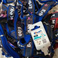 guinsaglio e pettorina 