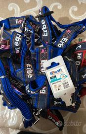 guinsaglio e pettorina 