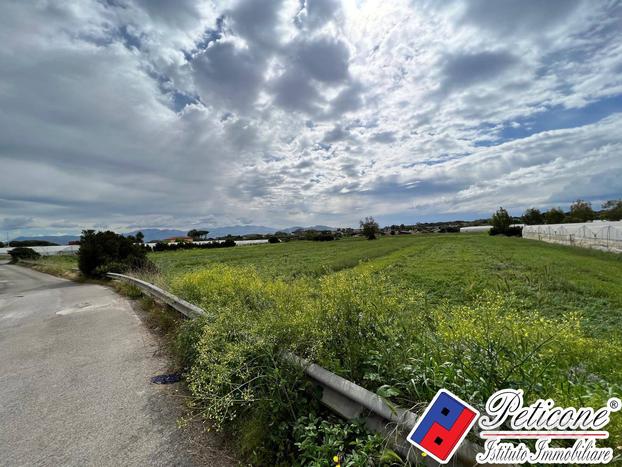 Terreno agricolo - Terracina