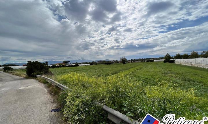 Terreno agricolo - Terracina