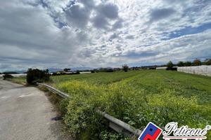 Terreno agricolo - Terracina