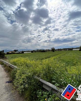 Terreno agricolo - Terracina