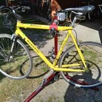 Bicicletta telaio alluminio allestita città.  