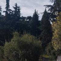 Giardinaggio