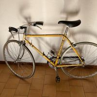 Bicicletta Uomo