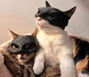 MASCHERA PER GATTI BATMAN