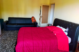 Stanza per studentessa/LIBERA DA SETTEMBRE