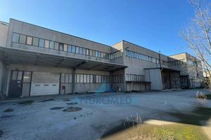 Immobile di 2500 m² a Sperone