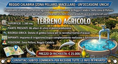Terreno Reggio Calabria(ZONA PELLARO, MACELLARI)